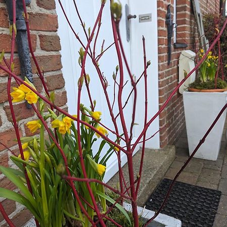 Ferienhaus Addebuell Langenhorn Exteriér fotografie